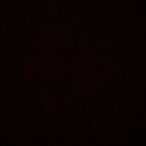 Meet your Posher, Zoie